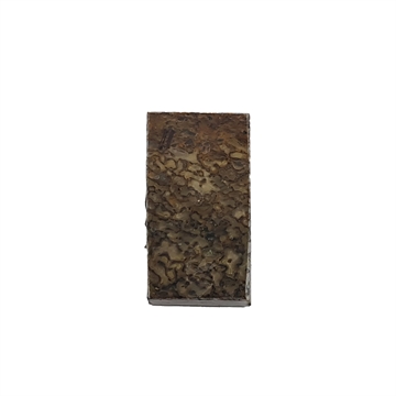 Dinosaurus knogle 10,0 mm - Stabiliseret
