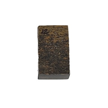 Dinosaurus knogle 10,0 mm - Stabiliseret