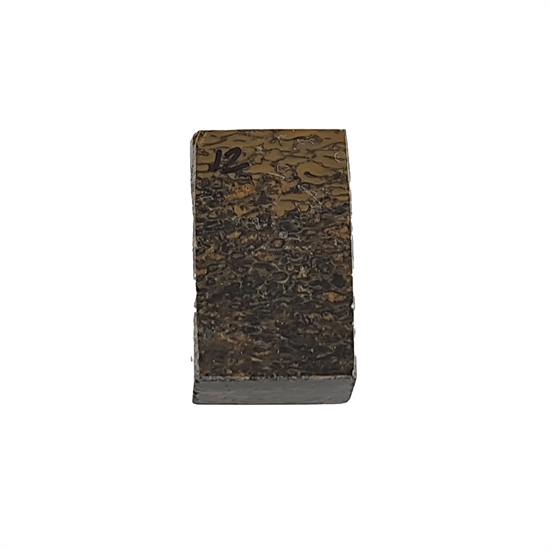 Dinosaurus knogle 10,0 mm - Stabiliseret