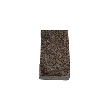 Dinosaurus knogle 10,0 mm - Stabiliseret
