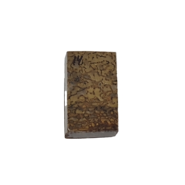 Dinosaurus knogle 10,0 mm - Stabiliseret