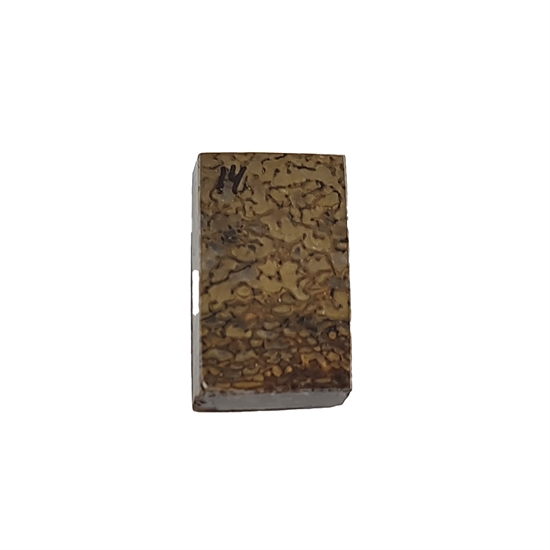 Dinosaurus knogle 10,0 mm - Stabiliseret