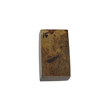 Dinosaurus knogle 10,0 mm - Stabiliseret