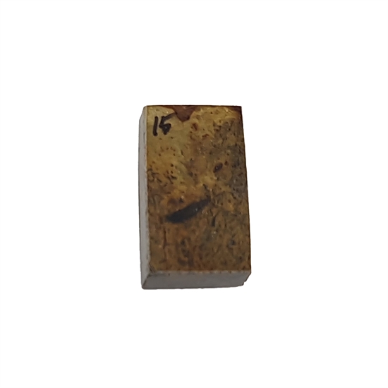 Dinosaurus knogle 10,0 mm - Stabiliseret