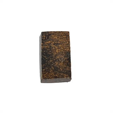 Dinosaurus knogle 10,0 mm - Stabiliseret