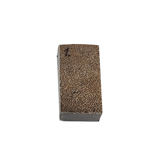 Dinosaurus knogle 15,0 mm - Stabiliseret