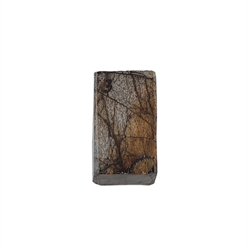 Dinosaurus knogle 15,0 mm - Stabiliseret