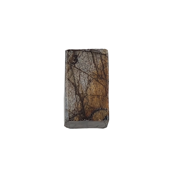 Dinosaurus knogle 15,0 mm - Stabiliseret