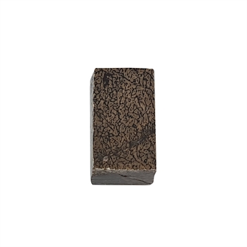 Dinosaurus knogle 15,0 mm - Stabiliseret