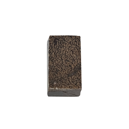 Dinosaurus knogle 15,0 mm - Stabiliseret