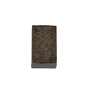 Dinosaurus knogle 15,0 mm - Stabiliseret
