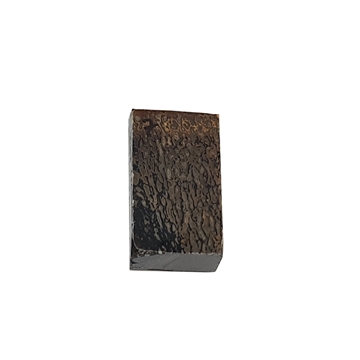 Dinosaurus knogle 15,0 mm - Stabiliseret