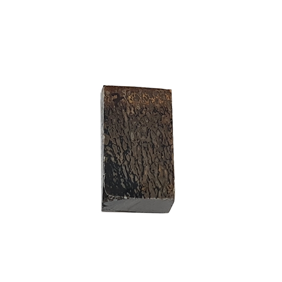 Dinosaurus knogle 15,0 mm - Stabiliseret