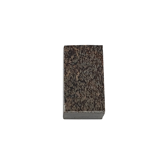 Dinosaurus knogle 15,0 mm - Stabiliseret