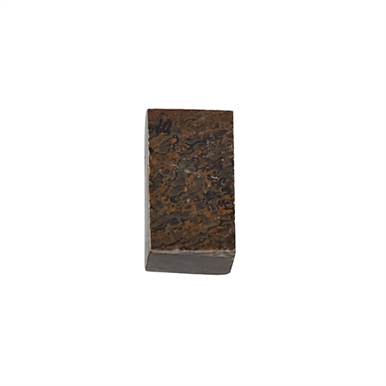 Dinosaurus knogle 15,0 mm - Stabiliseret