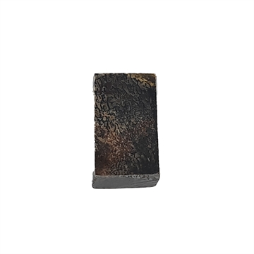 Dinosaurus knogle 15,0 mm - Stabiliseret