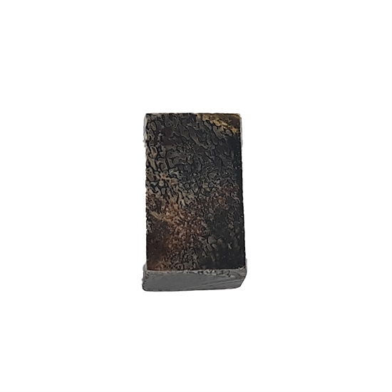 Dinosaurus knogle 15,0 mm - Stabiliseret