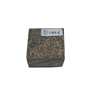 Dinosaurus knogle Stabiliseret - 23x40x40 mm