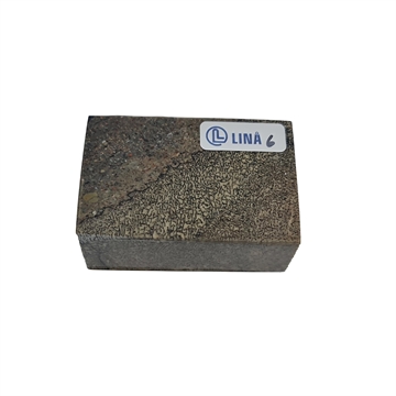 Dinosaurus knogle Stabiliseret - 23x40x60 mm