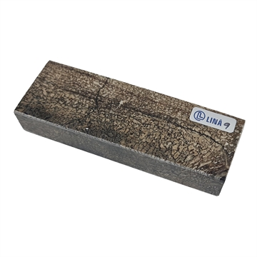 Dinosaurus knogle Stabiliseret - 23x40x120mm