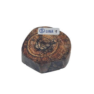 Mammut Stødtand - Stabiliseret