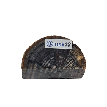 Mammut Stødtand - Stabiliseret