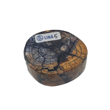 Mammut Stødtand - Stabiliseret