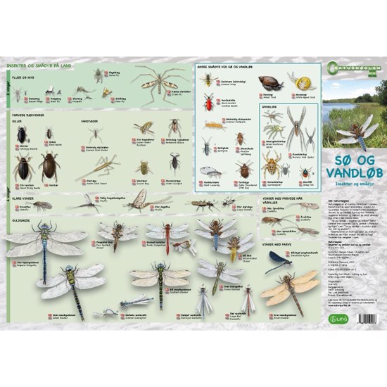 Sø og Vandløb, Insekter mfl - foldetavle online her