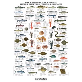 Fisk og Skaldyr Plakat