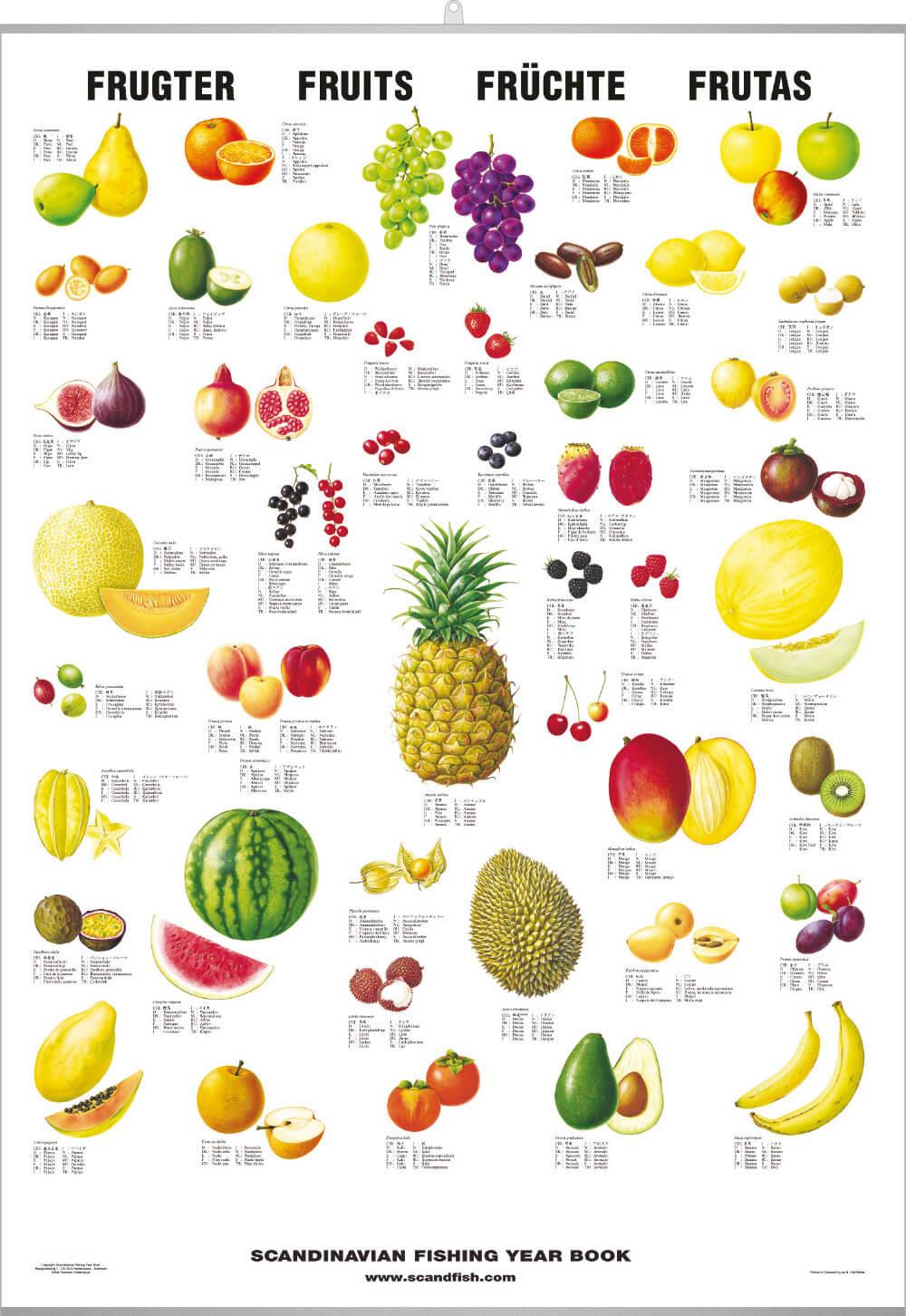 Fruit kinds. Название фруктов. Фрукты на английском. Плакат. Фрукты. Фрукты названия по алфавиту.