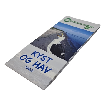 Kyst og Hav, Fugle - foldetavle