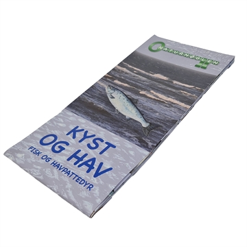Kyst og Hav, Fisk mfl - foldetavle