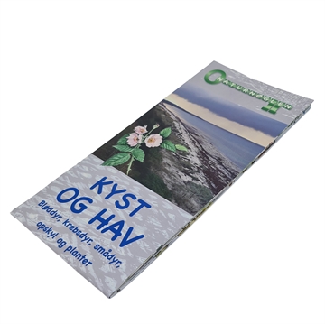 Kyst og Hav, Bløddyr mfl - foldetavle