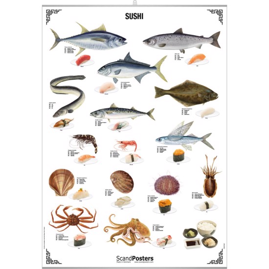 Plakat - Sushi - MED