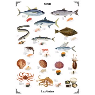 Plakat - Sushi - UDEN
