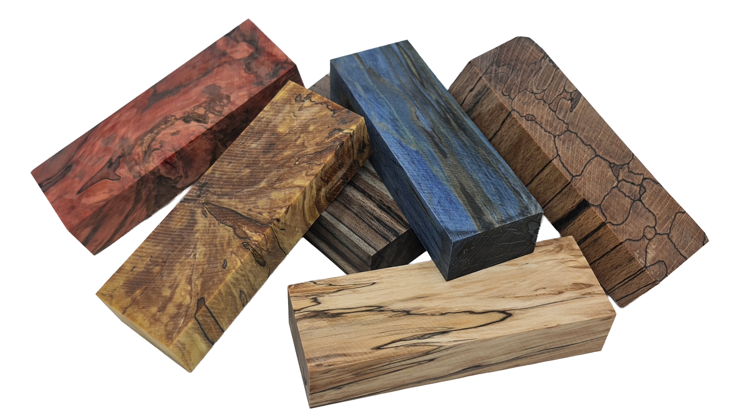 Stabiliseret Anløbet Bøg