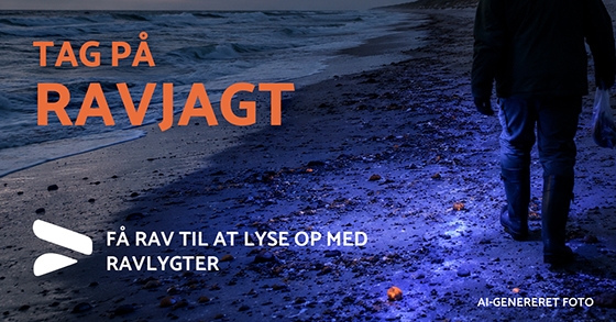 ravlygter til ravjagt