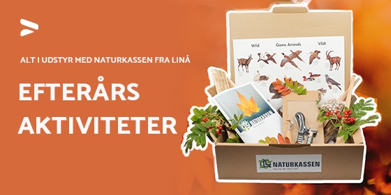 Naturkassen efterår