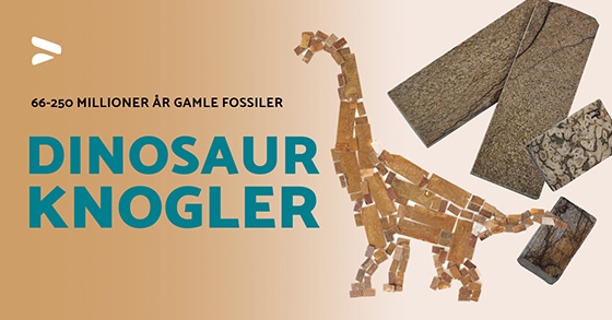 Dinosaurusknogler som er stabiliseret