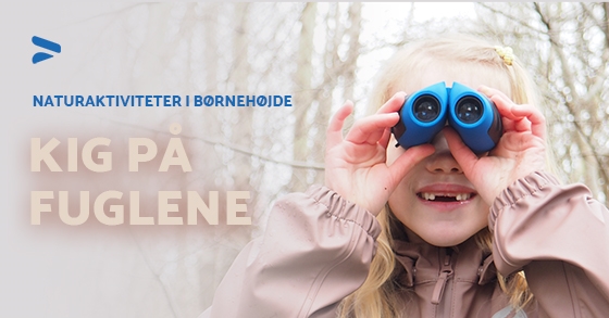 Ideer til naturaktiviteter