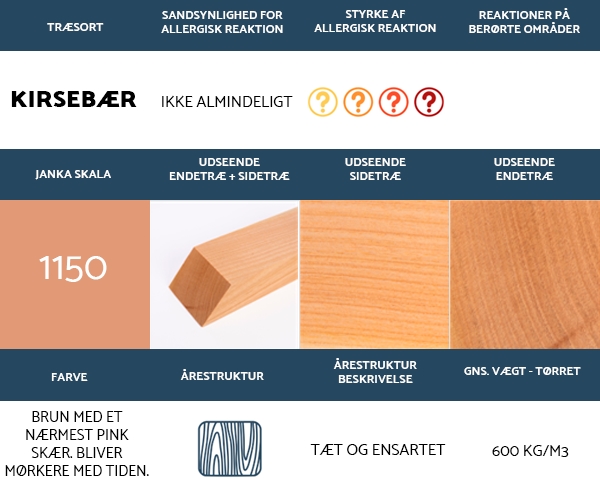 Kirsebær snittetræ 