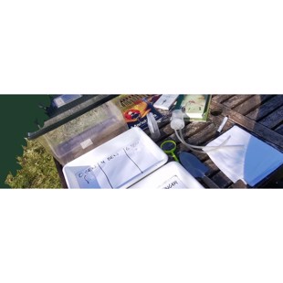 Lav en bioblitz – af NaturMette