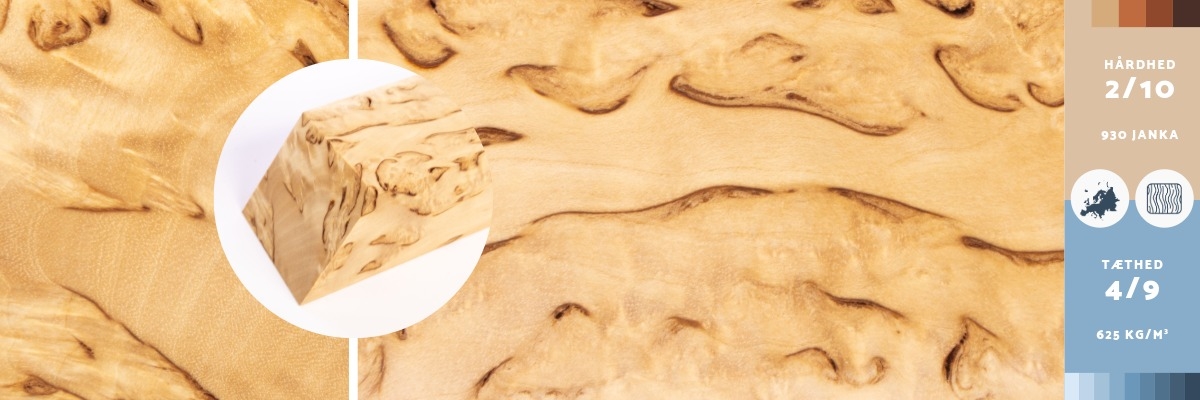 Træsorten masurbirk