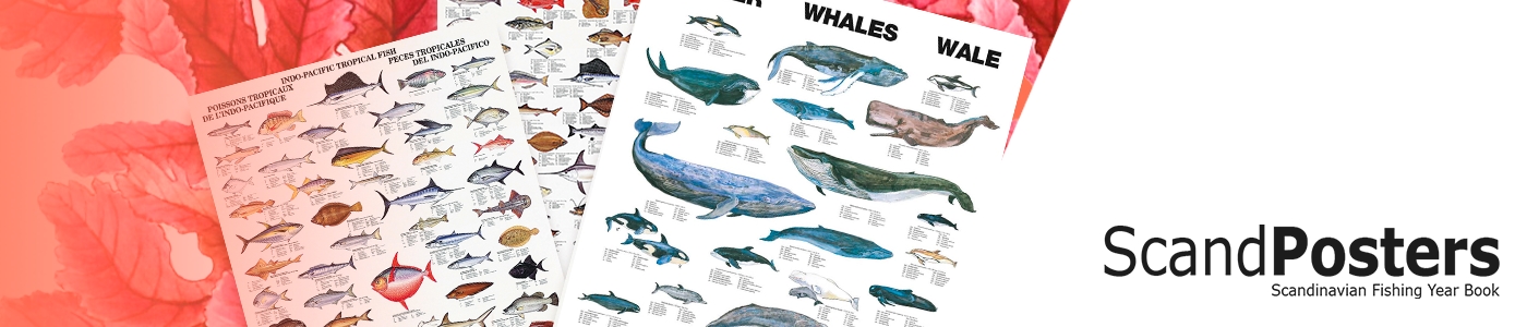 ScandPosters plakater brand cover