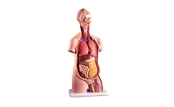 Biologi 